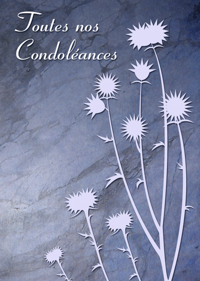 Carte Toutes Nos Condoleances Et Chardons : Envoyer une 
